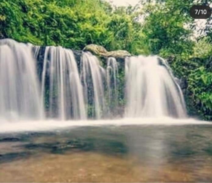 Eltari Homestay Tetebatu Dış mekan fotoğraf