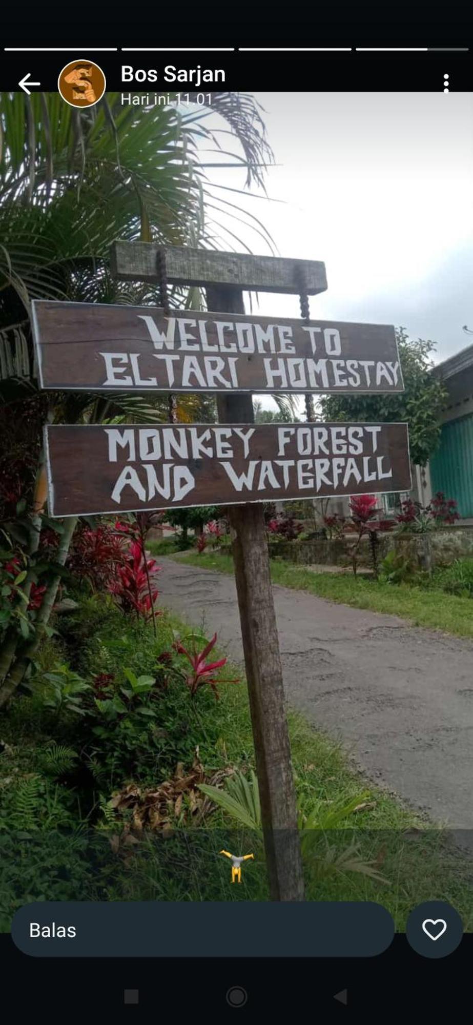 Eltari Homestay Tetebatu Oda fotoğraf