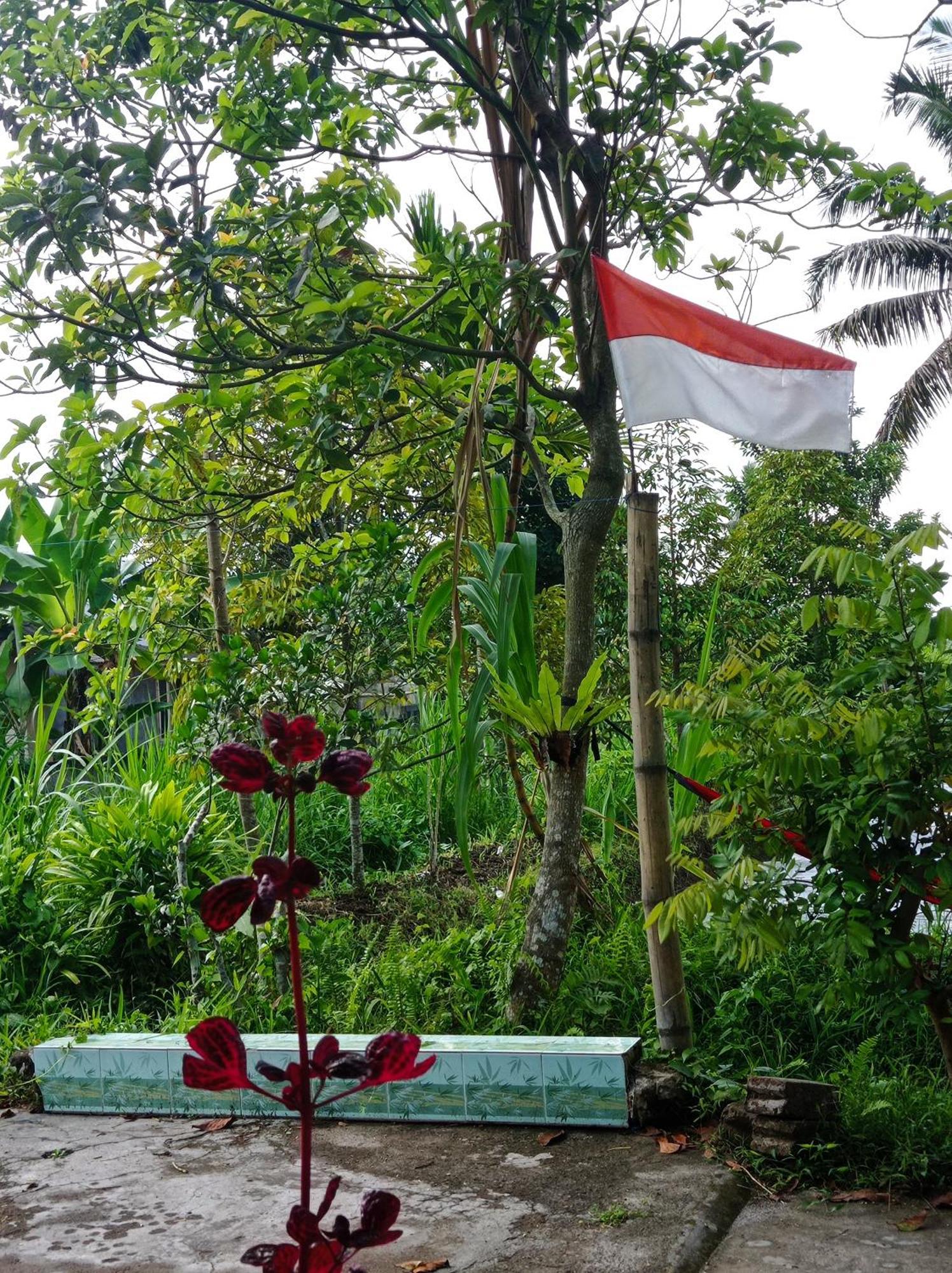 Eltari Homestay Tetebatu Oda fotoğraf